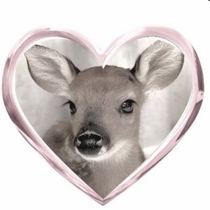 Meet your Posher, Sally